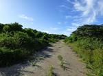 1126 m² Land available in Port Alfred
