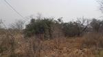 2961 m² Land available in Hectorspruit