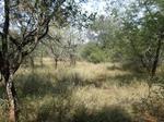 1700 m² Land available in Marloth Park