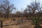 1645 m² Land available in Marloth Park