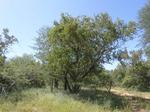 2049 m² Land available in Marloth Park
