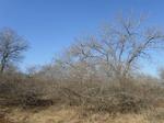 1600 m² Land available in Marloth Park