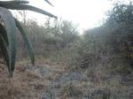 2050 m² Land available in Marloth Park