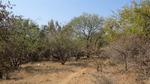 1568 m² Land available in Marloth Park