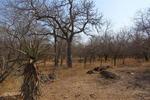 2030 m² Land available in Marloth Park