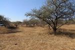2050 m² Land available in Marloth Park