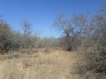 1907 m² Land available in Marloth Park