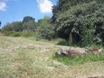 2066 m² Land available in Sabie