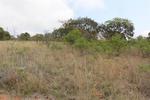 1.4 ha Land available in White River AH