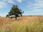 1.4 ha Land available in Middelburg South