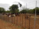 228 ha Farm in Thabazimbi
