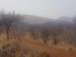430 ha Farm in Thabazimbi