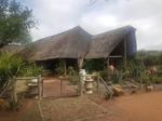 400 ha Farm in Thabazimbi