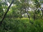 9208 m² Land available in Moditlo Nature Reserve