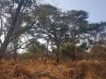 8708 m² Land available in Hoedspruit