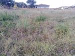 1745 m² Land available in Louis Trichardt
