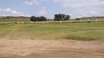 469 m² Land available in Eureka