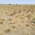 1250 m² Land available in Panorama