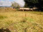 1807 m² Land available in Panorama