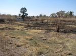 4283 m² Land available in Parys