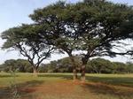 1130 m² Land available in Kathu