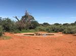 540 ha Farm in Kimberley