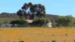 253 ha Farm in Springbok