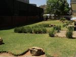 1 Bed Craighall Apartment To Rent