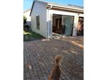 1 Bed Gordon's Bay Central Apartment To Rent