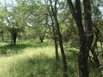 2265 m² Land available in Marloth Park