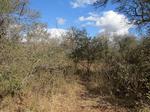 2052 m² Land available in Marloth Park