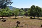 1200 m² Land available in Dullstroom