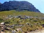 Betty's Bay Plot For Sale