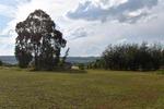 5949 m² Land available in Dullstroom