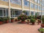 2 Bed Linksfield Apartment To Rent