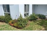 2 Bed Paarl Central House To Rent