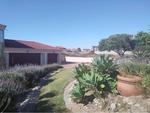 1 Bed Myburgh Park Apartment To Rent