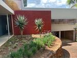 2 Bed Groenkloof Apartment To Rent