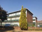 0.5 Bed Queenswood Apartment To Rent